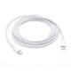 Apple MLL82ZM/A  USB-C Charge Cable (2m)