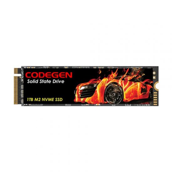 CODEGEN NWME M.2 1TB PCIe + NVMe M2 SSD Disk 2000MB-1000MB/S