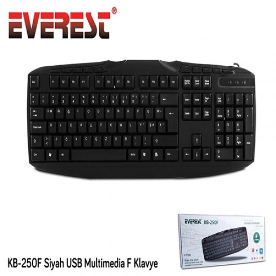 EVEREST KB-250F F Usb Multimedya Siyah Klavye