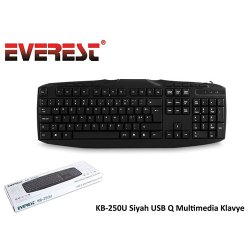 EVEREST KB-250U Q Usb Multimedya Siyah Klavye