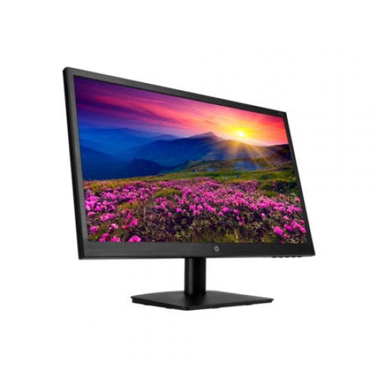 HP 21.5 2YV09AA 5Ms D-SUB DVI IPS LED Monitör Siyah